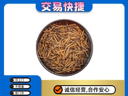 济宁鱼台县礼品回收虫草.jpg